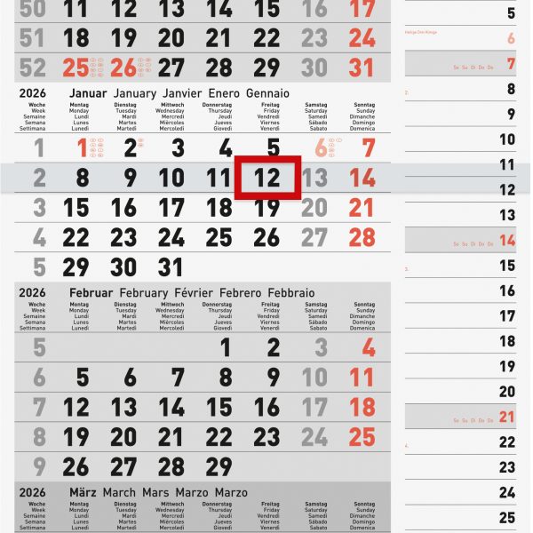 RIDOIDE 4-Monats-Kombiplaner 2026 7033430006.26 4M/1S 30x49cm