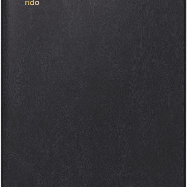 RIDOIDE M-Planer International 2026 7046962906.26 1M/2S schwarz ML 8.7x15.3cm