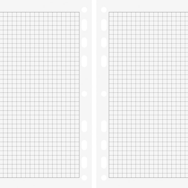 RIDOIDE Timing 2 Notizen kariert 7066451.26 32 Blatt 9.3x17.2cm