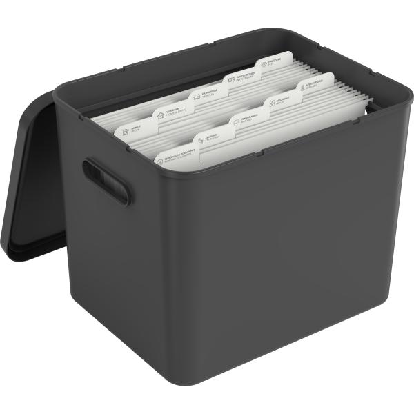 ROTHO Archivbox MyPaper 1064508080 29x29.5x40cm schwarz