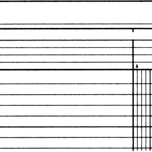 SIMPLEX Statistikbuch A4 19082 2 Kolonnen, grün 40 Blatt