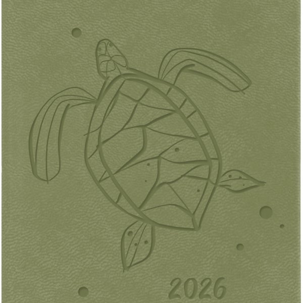 SIMPLEX Ladytimer Taschenplaner 2026 40521.26 1W/2S olive ML 8.7x15.3cm