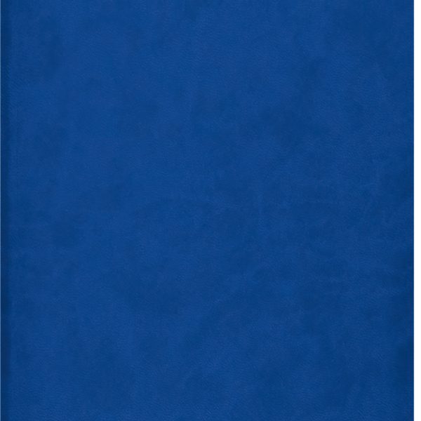 SIMPLEX Taschenagenda Simply Flex 2026 6950J2.26 1W/2S blau ML 8.7x15.3cm