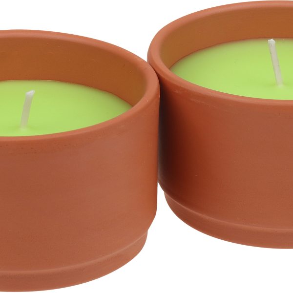 STEINHART Outdoor Kerze Terra 50x80mm 2043206000 limette 2 Stück