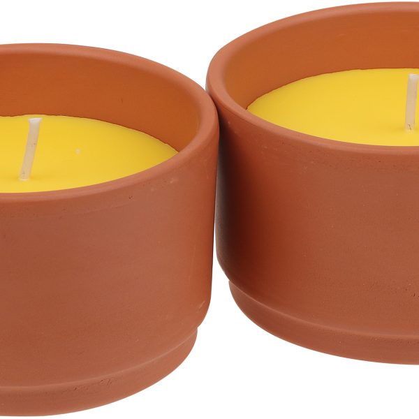 STEINHART Outdoor Kerze Terra 50x80mm 2043220000 gelb 2 Stück