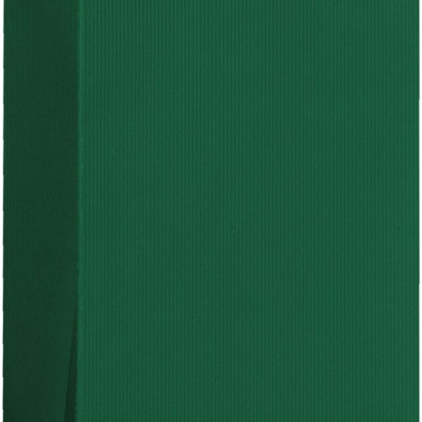 STEWO Geschenktasche One Colour 2546782696 grün dunkel 11x10.5x36cm