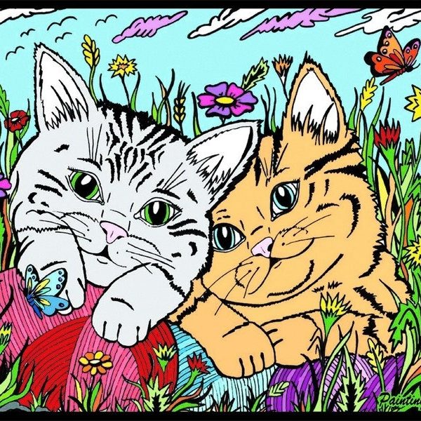 TATARUGA Samtbild A4 S4 Kätzchen