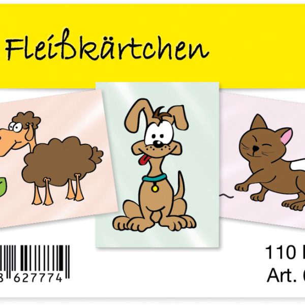 TIMETEX Fleisskärtchen 62777 110 Karten im Etui