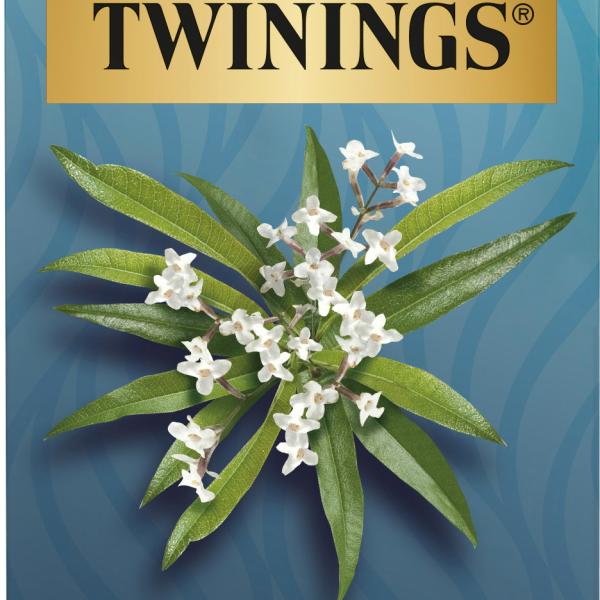 TWININGS Pure Eisenkraut 100017129 Beutel 1.5g 20 Stk.