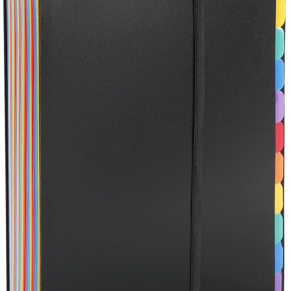 VIQUEL Pultmappe A4 111867 A4 36 Fächer schwarz/bunt