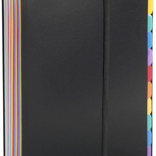 VIQUEL Pultmappe A4 111867 A4 36 Fächer schwarz/bunt