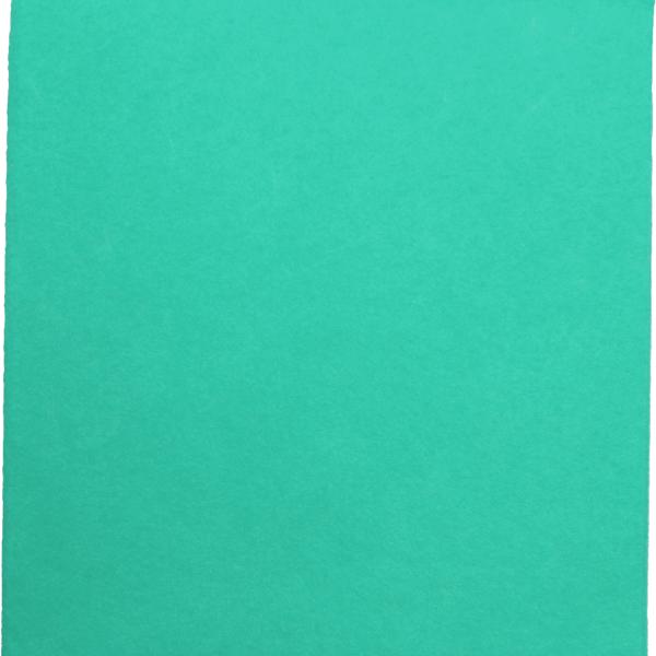 WEITACLEAN Allzwecktuch Olivia 38x40cm 721263 grün 30 Stück