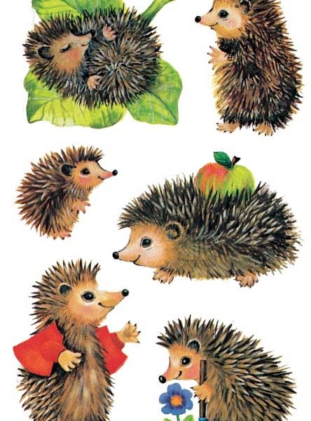 Z-DESIGN Sticker Kids 4306 Igel 3 Stück