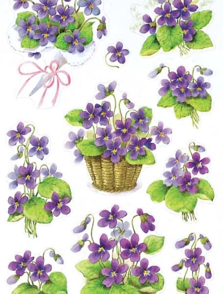 Z-DESIGN Sticker Creative 4317 Veilchen 2 Stück