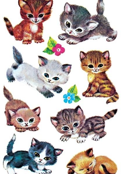 Z-DESIGN Sticker Kids 4346 Katzen 3 Stück