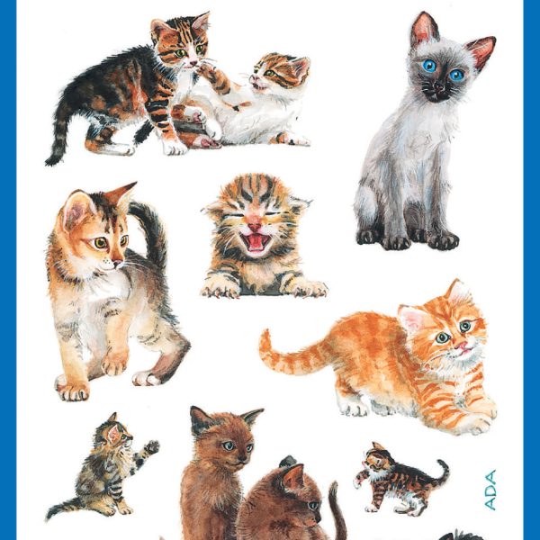 Z-DESIGN Sticker Kids 53574 Katzen 3 Stück