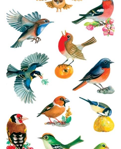 Z-DESIGN Sticker Creative 55713 Vögel 3 Stück