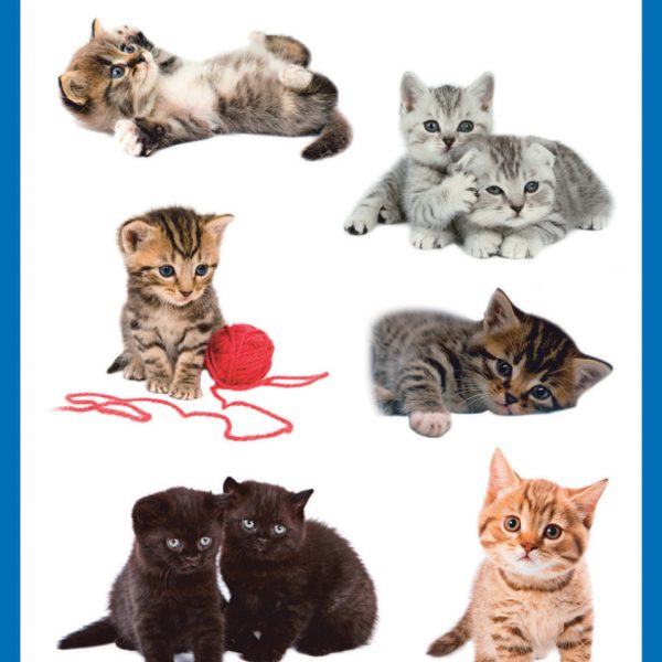 Z-DESIGN Sticker Creative 55971 Katzenkinder 3 Stück