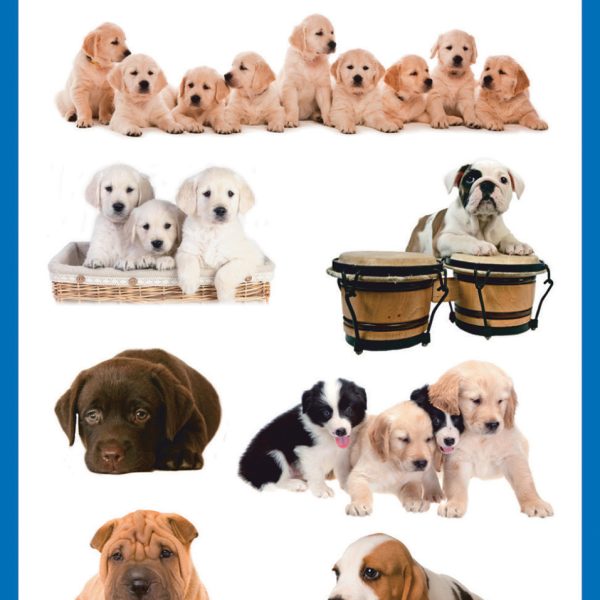 Z-DESIGN Sticker Creative 55972 Hundekinder 3 Stück