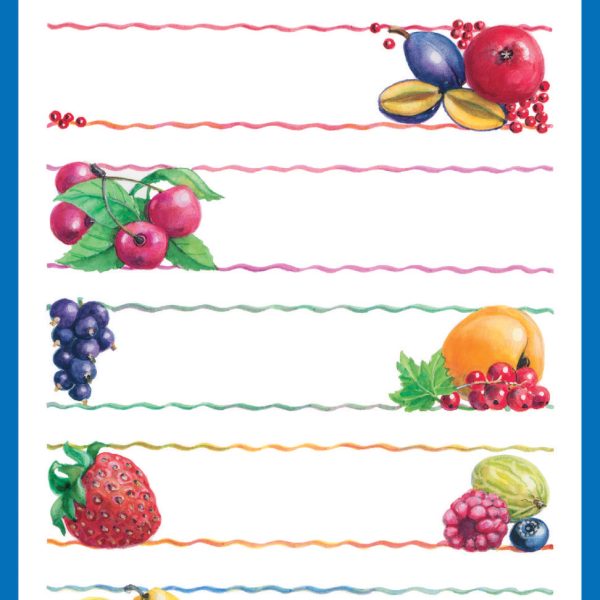 Z-DESIGN Sticker Home 59473 Früchte 3 Stück