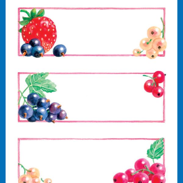 Z-DESIGN Sticker Home 59550 Früchte 3 Stück